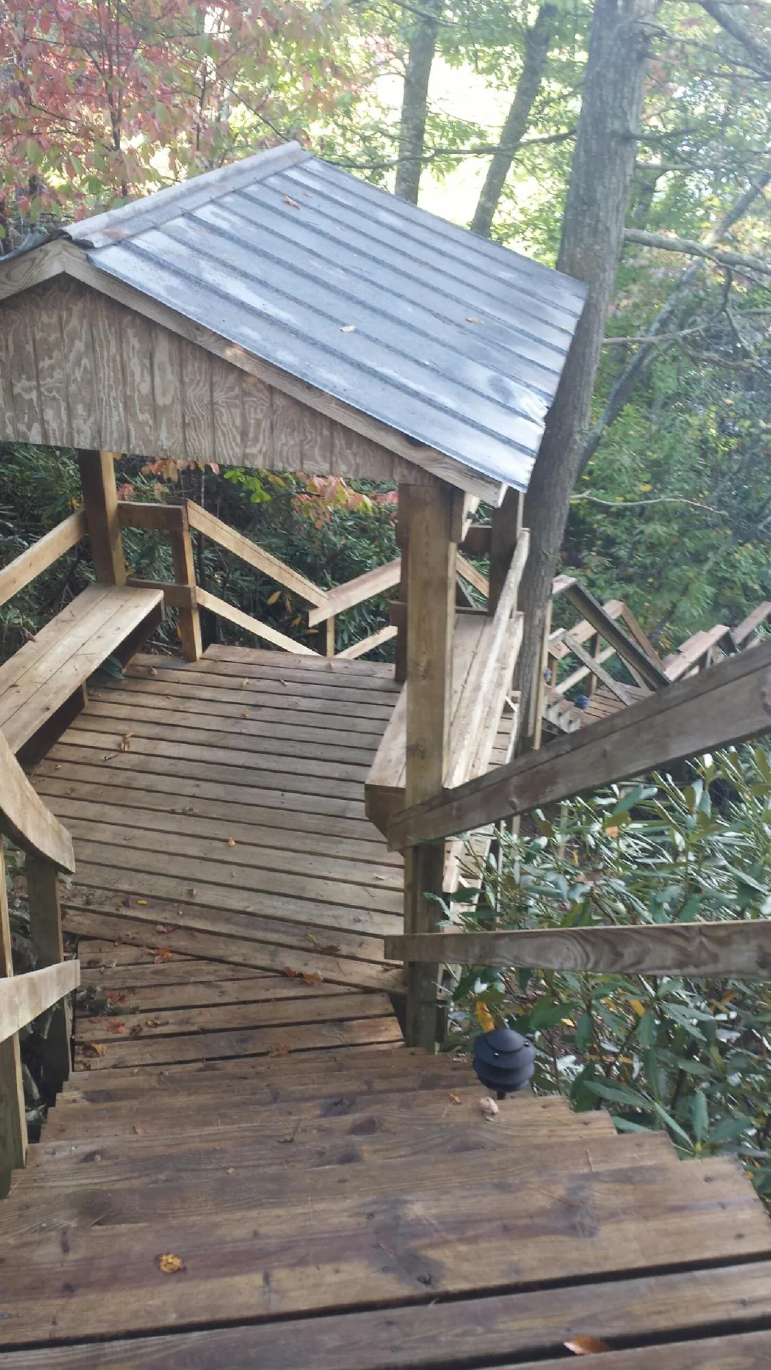 Metal roofed shelter over wooden steps on a wooded walkway — Skylight Repair & Installation work by our crew in Lone Tree