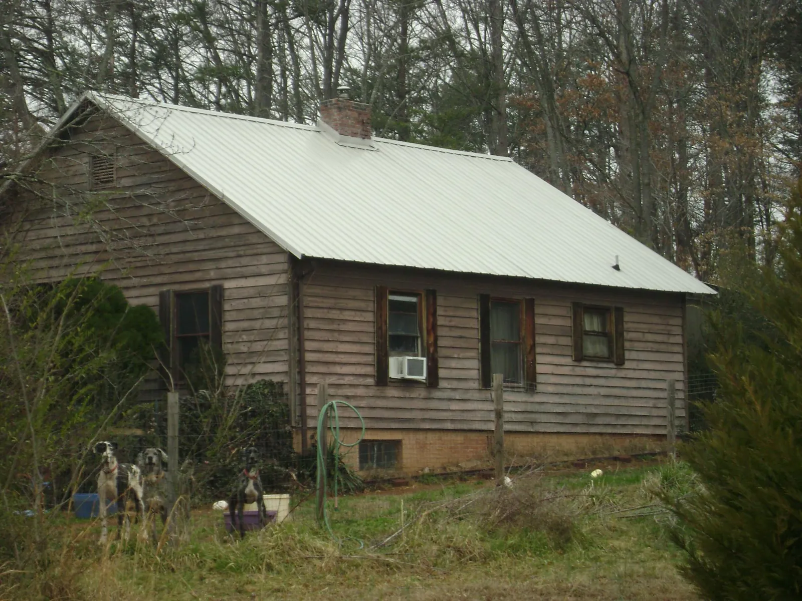 White metal roof on an old wood sided farmhouse, from a Metal Roof Installation job in Lone Tree